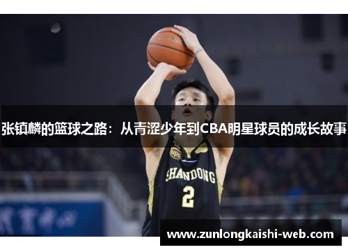 张镇麟的篮球之路:从青涩少年到CBA明星球员的成长故事