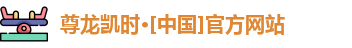 尊龙凯时 尊龙凯时